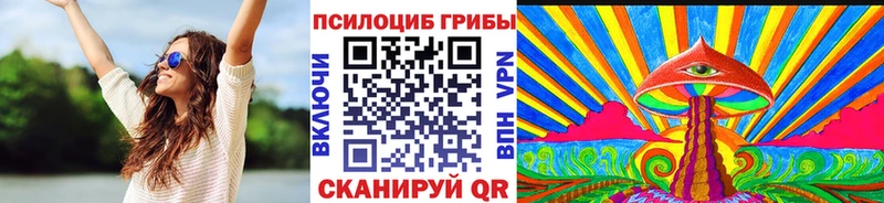 блэк спрут рабочий сайт  Волгореченск  Псилоцибиновые грибы прущие грибы 